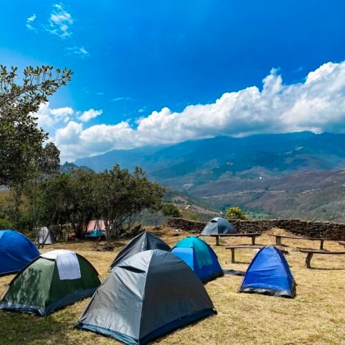Zona de Camping (1 persona)